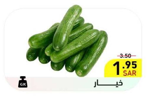 Cucumber