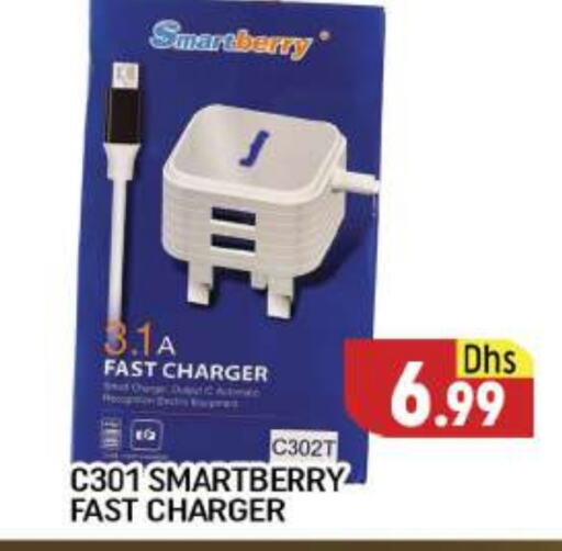  Charger  in AL MADINA (Dubai) in UAE - Dubai