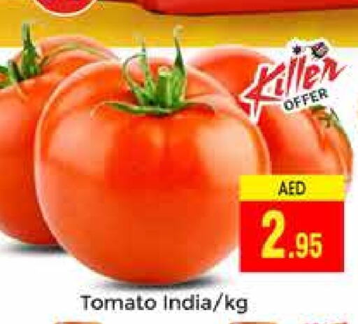  Tomato  in PASONS GROUP in UAE - Dubai