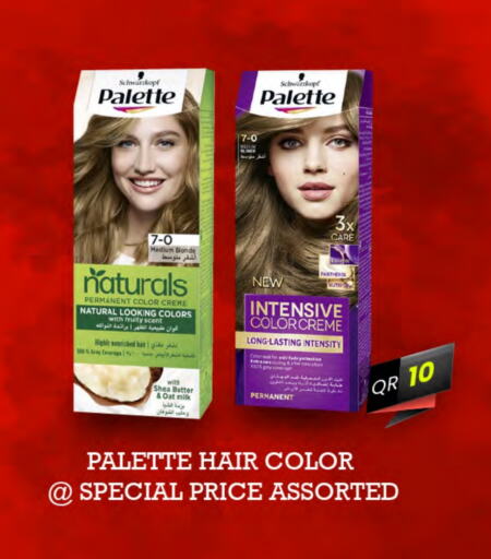 PALETTE Hair Colour  in SPAR in Qatar - Al Khor