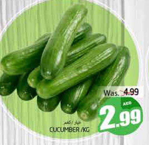  Cucumber  in PASONS GROUP in UAE - Al Ain