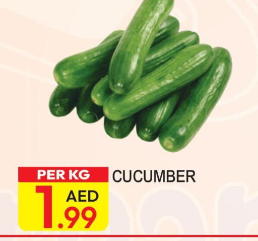  Cucumber  in Dream Land in UAE - Dubai