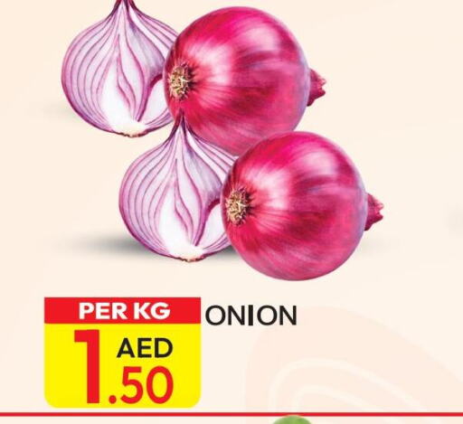  Onion  in Dream Land in UAE - Dubai