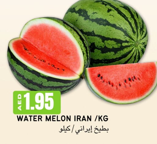  بطيخ  in Select Market  in الإمارات العربية المتحدة , الامارات - أبو ظبي