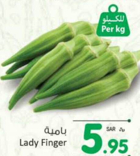  Lady's finger  in Kabayan Hypermarket in KSA, Saudi Arabia, Saudi - Jeddah