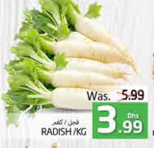  Radish  in PASONS GROUP in UAE - Al Ain