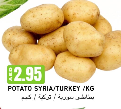  بطاطا  in Select Market  in الإمارات العربية المتحدة , الامارات - أبو ظبي