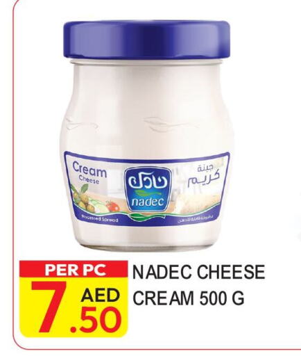 NADEC Cream Cheese  in Dream Land in UAE - Dubai