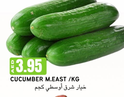 Cucumber