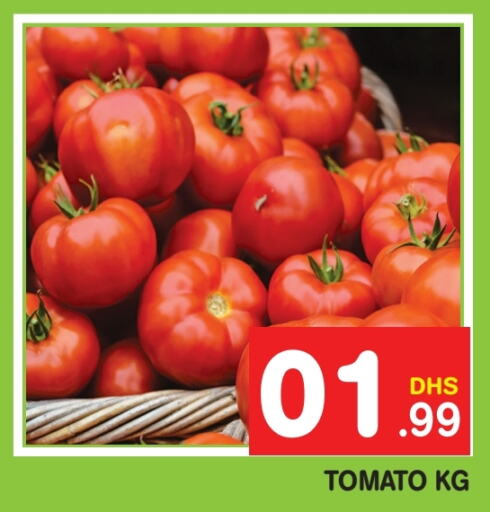  Tomato  in Fresh Spike Supermarket in UAE - Dubai