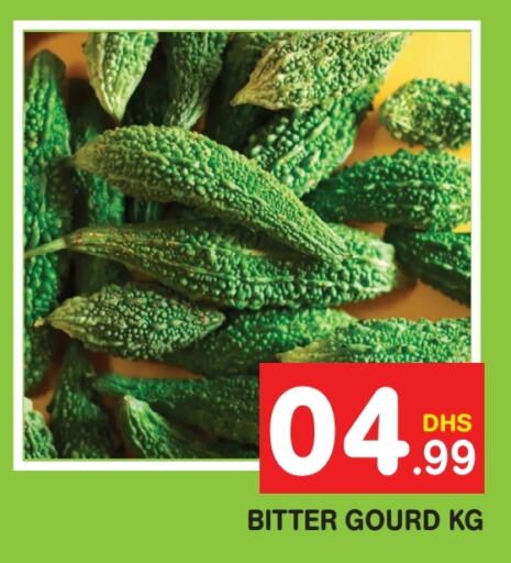  Bitter Gourd  in Fresh Spike Supermarket in UAE - Dubai