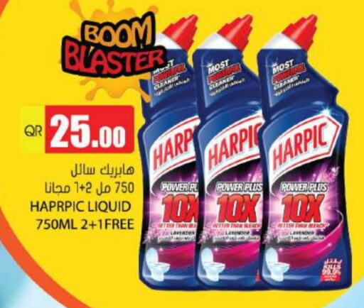 HARPIC Toilet / Drain Cleaner  in Grand Hypermarket in Qatar - Al Wakra