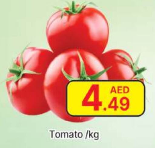  Tomato  in AL MADINA (Dubai) in UAE - Dubai