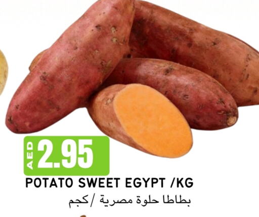  بطاطا حلوة  in Select Market  in الإمارات العربية المتحدة , الامارات - أبو ظبي