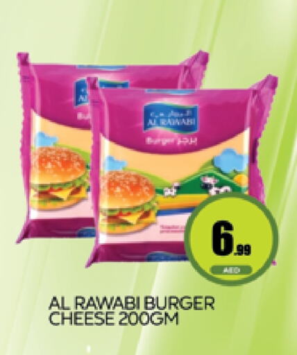  Chicken Burger  in AL MADINA (Dubai) in UAE - Dubai