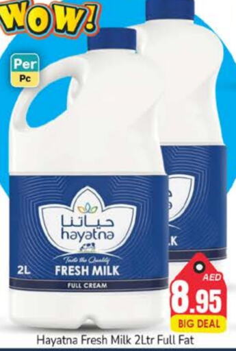 HAYATNA Full Cream Milk  in PASONS GROUP in UAE - Dubai