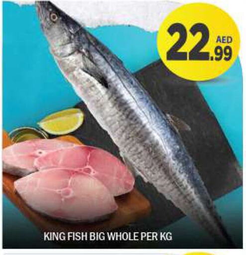  King Fish  in BIGmart in UAE - Dubai