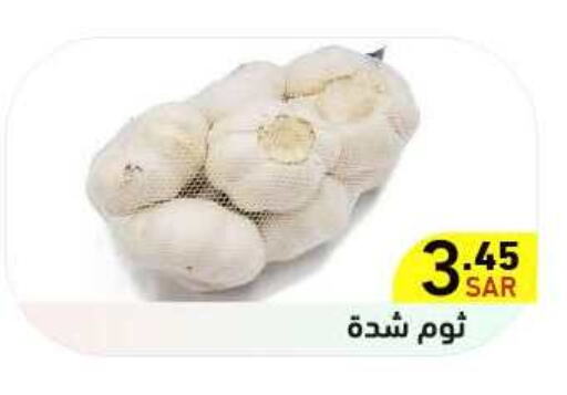  Garlic  in Aswaq Ramez in KSA, Saudi Arabia, Saudi - Tabuk