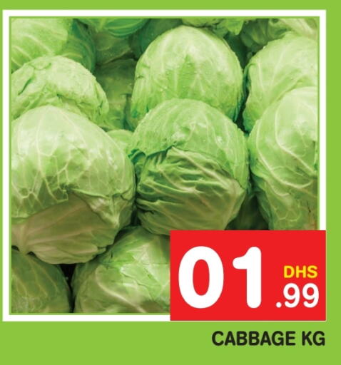  Cabbage  in Fresh Spike Supermarket in UAE - Dubai