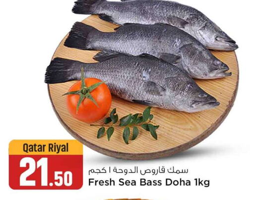    in Safari Hypermarket in Qatar - Al Khor