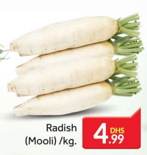 Radish