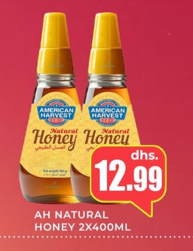 AMERICAN HARVEST Honey  in Meena Al Madina Hypermarket  in UAE - Sharjah / Ajman