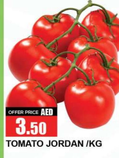  Tomato  in Quick Supermarket in UAE - Sharjah / Ajman