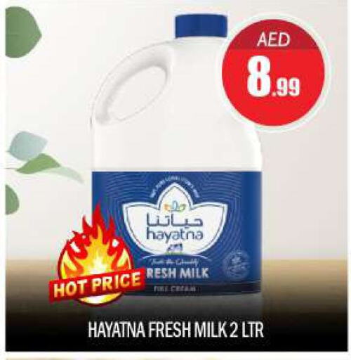 HAYATNA Fresh Milk  in BIGmart in UAE - Abu Dhabi