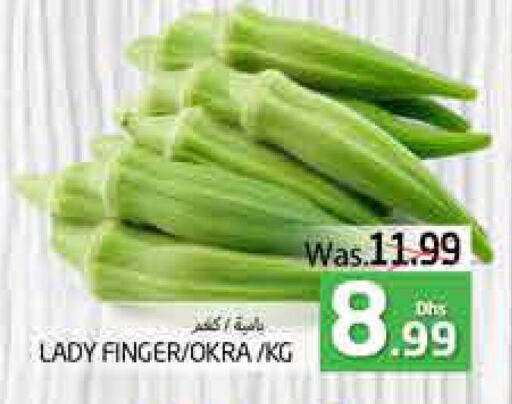  Lady's finger  in PASONS GROUP in UAE - Al Ain