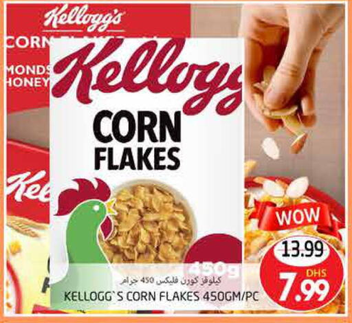 KELLOGGS Honey  in PASONS GROUP in UAE - Al Ain