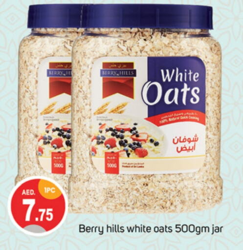 BERRY HILLS Oats  in TALAL MARKET in UAE - Dubai