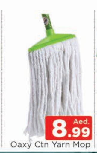  Cleaning Aid  in AL MADINA (Dubai) in UAE - Dubai