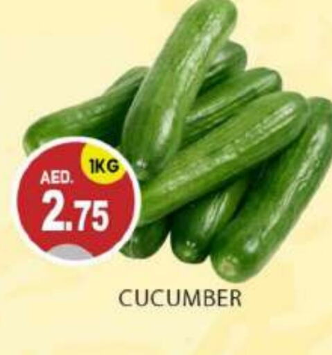  Cucumber  in TALAL MARKET in UAE - Abu Dhabi