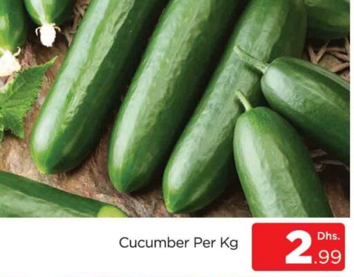 Cucumber