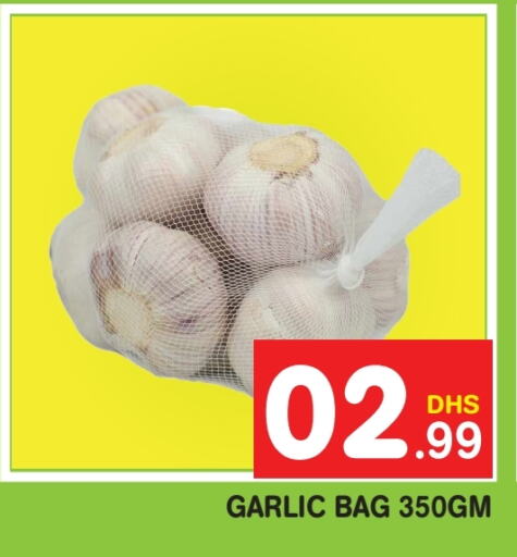  Garlic  in Fresh Spike Supermarket in UAE - Dubai