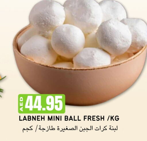  لبنة  in Select Market  in الإمارات العربية المتحدة , الامارات - أبو ظبي