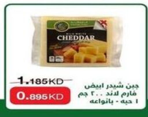  Cheddar Cheese  in Al-salam Co-operative Society in Kuwait - Kuwait City