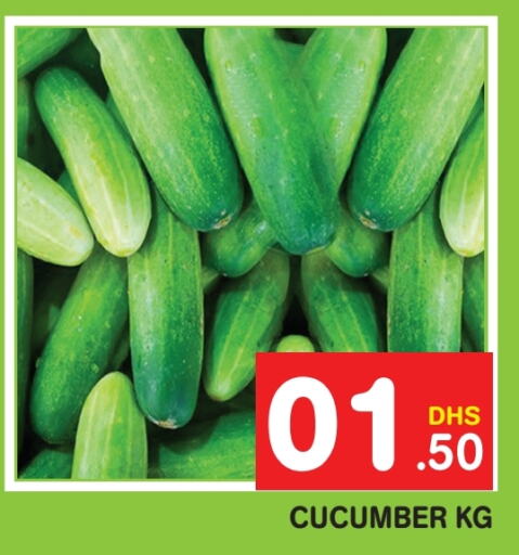  Cucumber  in Fresh Spike Supermarket in UAE - Dubai