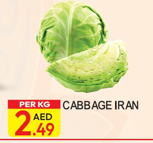  Cabbage  in Dream Land in UAE - Dubai