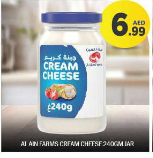 AL AIN Cream Cheese  in BIGmart in UAE - Dubai