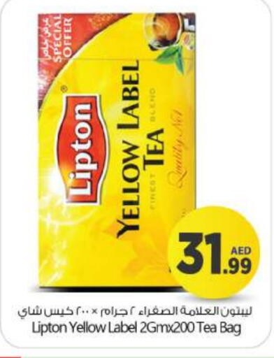 Lipton