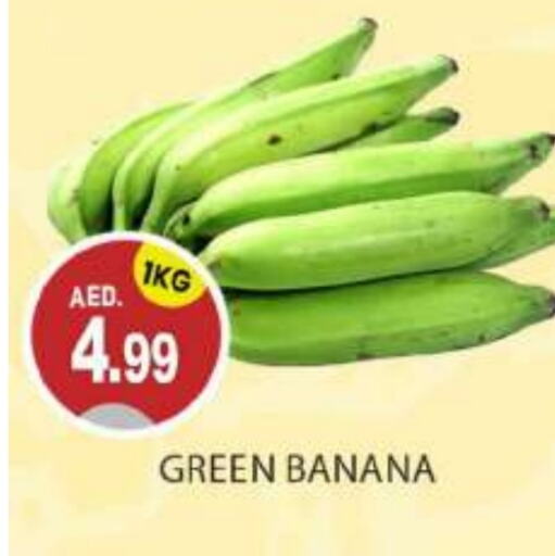  Banana Green  in TALAL MARKET in UAE - Abu Dhabi