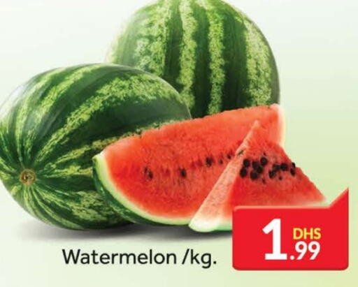  Watermelon  in FOODZONE SUPERMARKET in UAE - Dubai