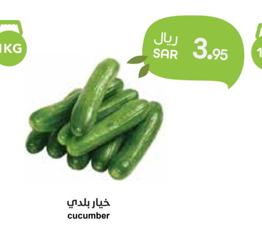  Cucumber  in Consumer Oasis in KSA, Saudi Arabia, Saudi - Riyadh