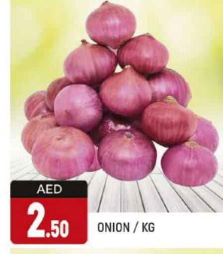  Onion  in AL MADINA (Dubai) in UAE - Dubai