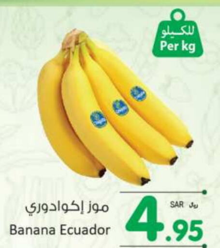  Banana  in Kabayan Hypermarket in KSA, Saudi Arabia, Saudi - Jeddah