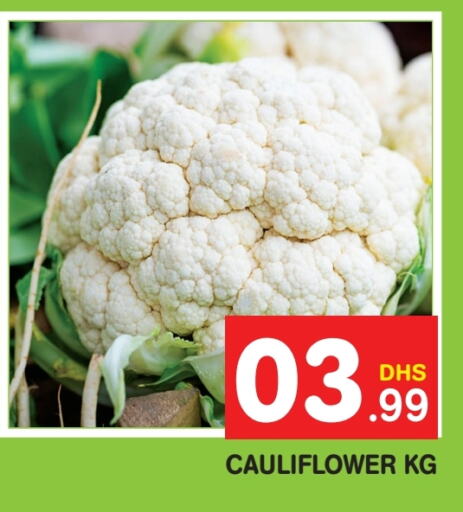  Cauliflower  in Fresh Spike Supermarket in UAE - Dubai