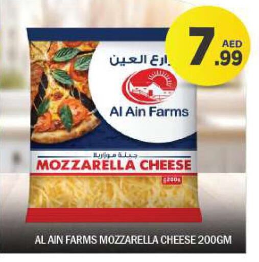 AL AIN Mozzarella  in BIGmart in UAE - Dubai