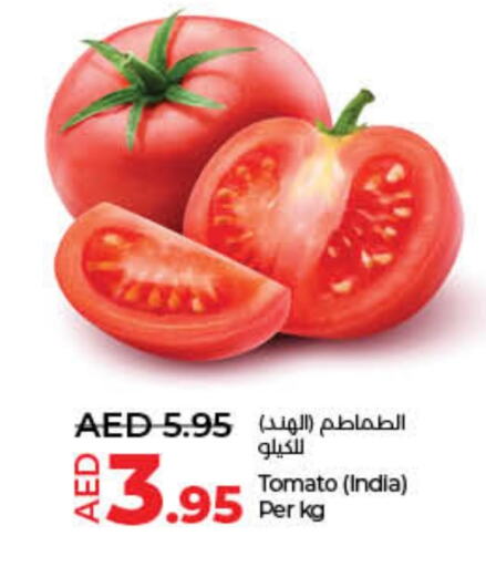  Tomato  in Lulu Hypermarket in UAE - Sharjah / Ajman