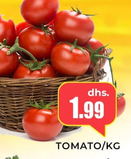  Tomato  in Meena Al Madina Hypermarket  in UAE - Sharjah / Ajman